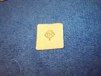 100_1059.webp