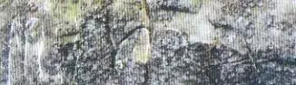 buffalo Rock Munday with map.webp