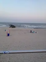 image-3951817244.webp