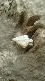 IMG-20120903-WA0006.webp
