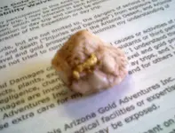 AU1gold.webp