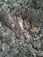 ring sand.webp