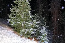 10-13a.webp