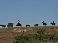 Ghost-Riders-of-the-Chisholm-Trail-640x477-2-500x372.webp