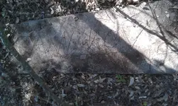 IMAG0543.webp