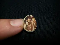 20121013_114054.webp