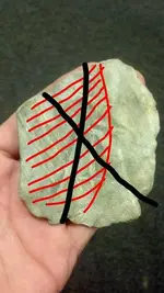 IMG-20120913-WA0001.webp