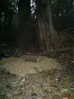 image-1398944723.webp