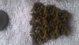 unknown decorative piece2.webp
