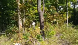 granthansen.webp