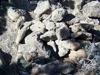 nevadaupdateoct 003.webp nevadaupdateoct 003.webp