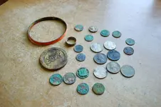Buffalo Nickels.webp