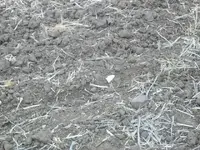 100_4891.webp