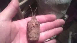 2012-10-21-000636.webp
