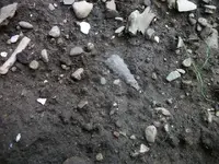 100_3680.webp