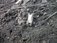 100_3692.webp