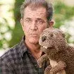 beaver in a hand.webp