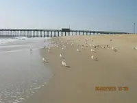 IMG_0035 (Medium).webp