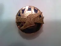 Goodyear service pin 1-20th 10K.webp