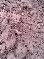 ForumRunner_20121028_220550.webp