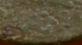 IMAG0054-1.webp