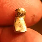 NH FINDS 10-19 004.webp