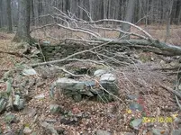OCT 28TH CELLAR HOLE  KGII ,COUNTERFIET SEATED,LAFAYETTE BUTTON 010.webp