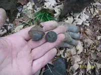 OCT 28TH CELLAR HOLE  KGII ,COUNTERFIET SEATED,LAFAYETTE BUTTON 001.webp