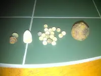 blackberry pic 382.webp