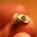 NH FINDS 10-19 008.webp