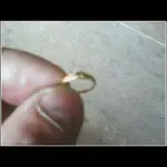 ring.webp