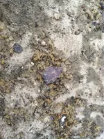 image-1002820816.webp