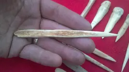Awl17 b.webp
