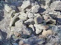 nevadaupdateoct 003.webp