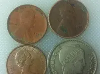 finds for today.webp