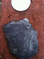 image-517996798.webp