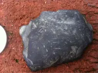 image-1106161842.webp