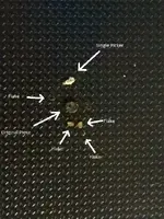 IMAG0363labeled.webp