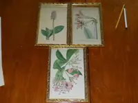 DSCN0739.webp