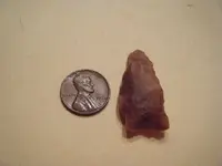 arrowhead pepper patch 011.webp