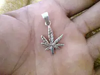 DSC02620.webp