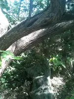 image-4044707135.webp