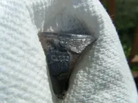 DSCF2171.webp