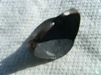 DSCF2176.webp