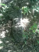 image-765851705.webp