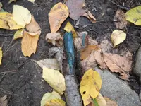 DSCN1401.webp