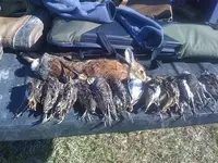 snipe_hunt.webp