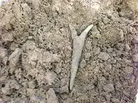 brass conical arrow point 1.webp