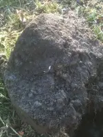 image-2787631130.webp