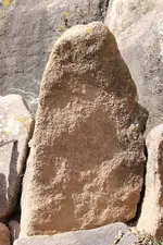 WashEagleOwlLionface1.webp